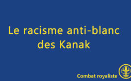Combat royaliste 29