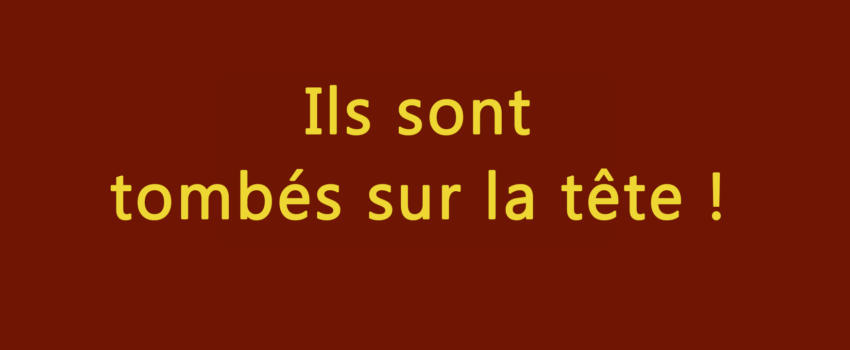 Ils sont tombés sur la tête ! Mais jusqu’où iront-ils pour garder le pouvoir ?