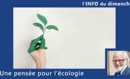 Une pensée pour l’écologie