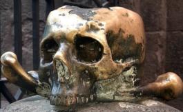 L’enseignement de l’histoire : l’histoire assassinée