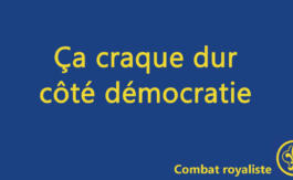 Combat royaliste 46