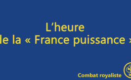 Combat royaliste 48