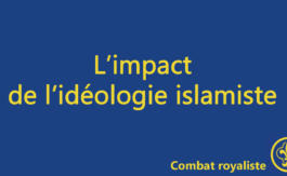 Combat royaliste 64
