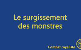 Combat royaliste 74