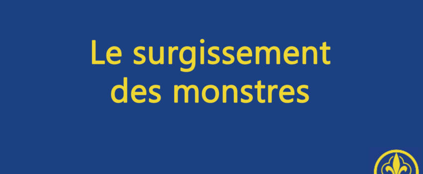 Combat royaliste 74